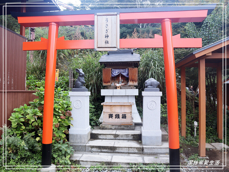 日本富士山全景纜車-日本山梨縣/攻頂只要3分鐘！到天上山公園遠眺富士山美景