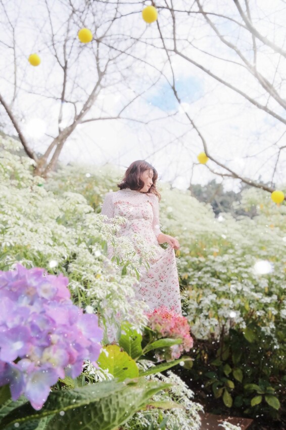 2023沐心泉黃金楓白雪木花季開跑|白雪花陸續滿開|配上超美黃金楓|搭上繡球花尾聲|年末限定美景盡收眼底! - 萍姐愛分享