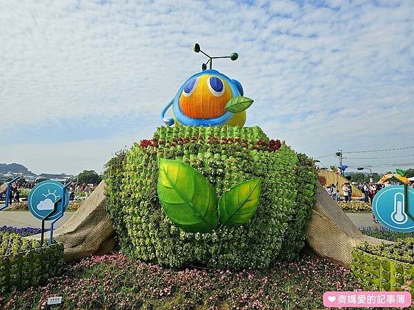 2023台中國際花毯節 / 新社花海