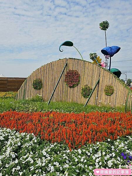 2023台中國際花毯節 / 新社花海