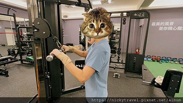 離奇開箱 ◎ 台中南區一對一健身-宣教練團隊 離奇開箱 ◎ 台中南區一對一健身-宣教練團隊