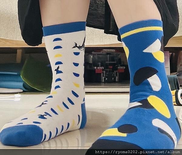 【HUAER Design 獨家設計襪/HUAER Desi