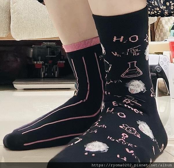 【HUAER Design 獨家設計襪/HUAER Desi