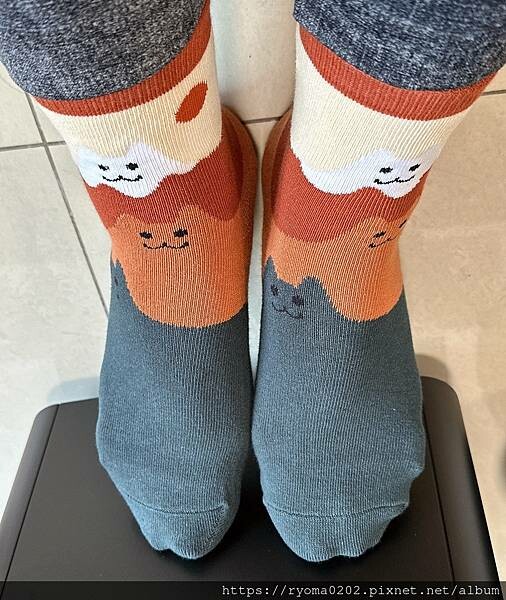 【HUAER Design 獨家設計襪/HUAER Desi