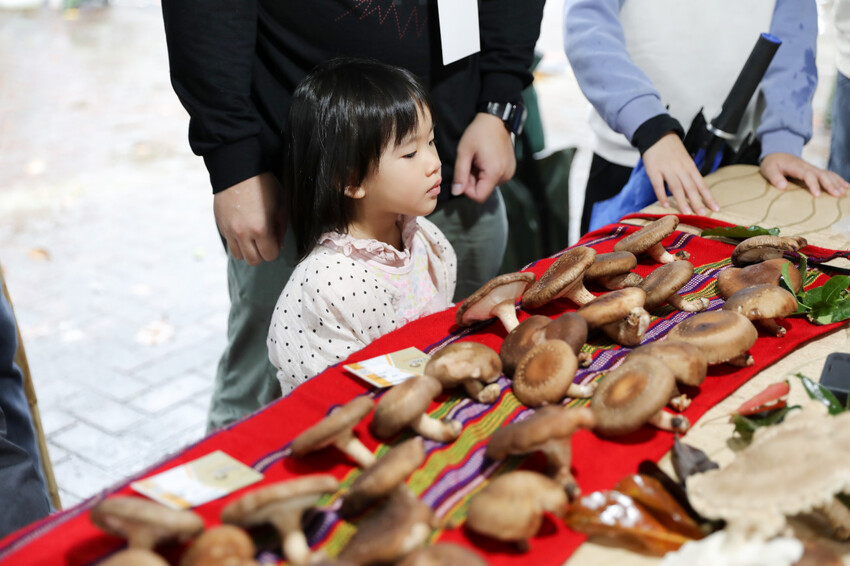 宜蘭旅遊|2023野山菇南澳香菇野餐節 全國段木香菇評鑑競賽、創意市集、DIY活動 - 奇奇一起玩樂趣