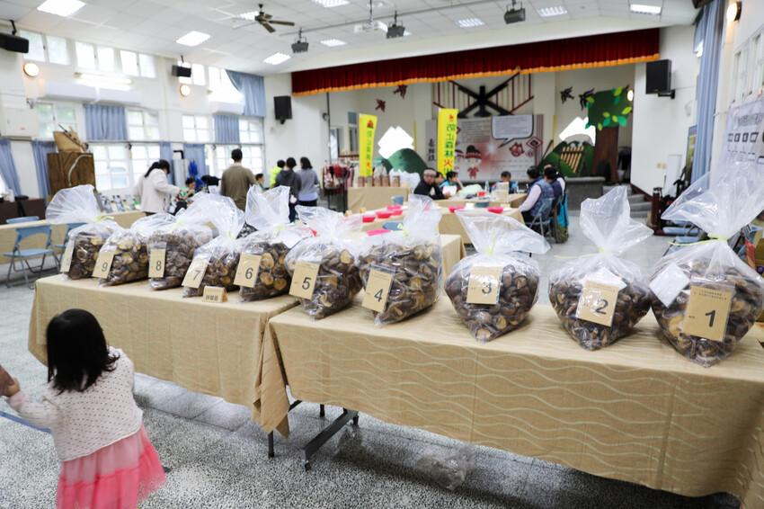 宜蘭旅遊|2023野山菇南澳香菇野餐節 全國段木香菇評鑑競賽、創意市集、DIY活動 - 奇奇一起玩樂趣