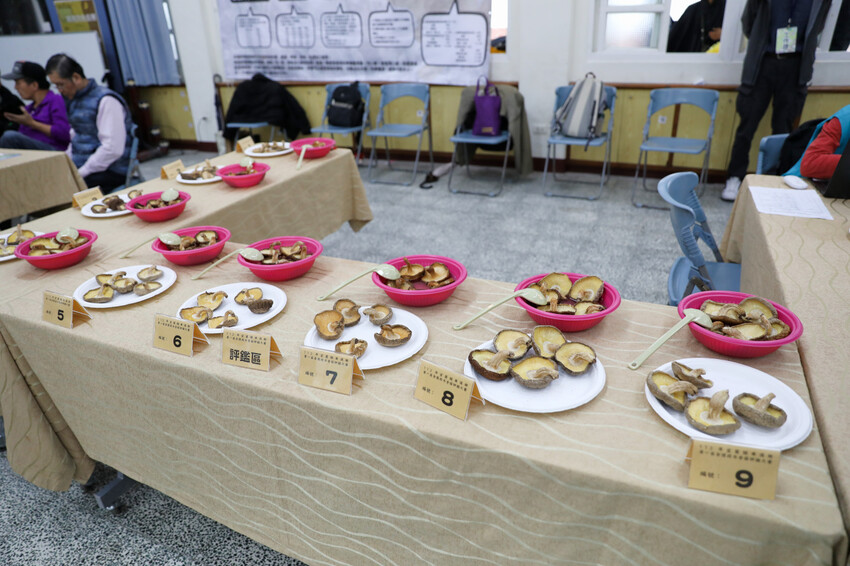 宜蘭旅遊|2023野山菇南澳香菇野餐節 全國段木香菇評鑑競賽、創意市集、DIY活動 - 奇奇一起玩樂趣