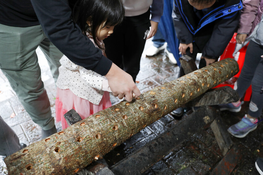 宜蘭旅遊|2023野山菇南澳香菇野餐節 全國段木香菇評鑑競賽、創意市集、DIY活動 - 奇奇一起玩樂趣