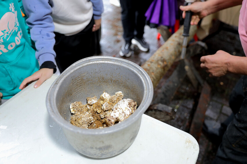 宜蘭旅遊|2023野山菇南澳香菇野餐節 全國段木香菇評鑑競賽、創意市集、DIY活動 - 奇奇一起玩樂趣