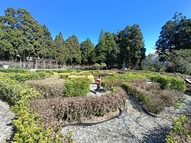 清境小瑞士花園| 清境旅遊必訪!北歐風情景觀.散心的好去處!
