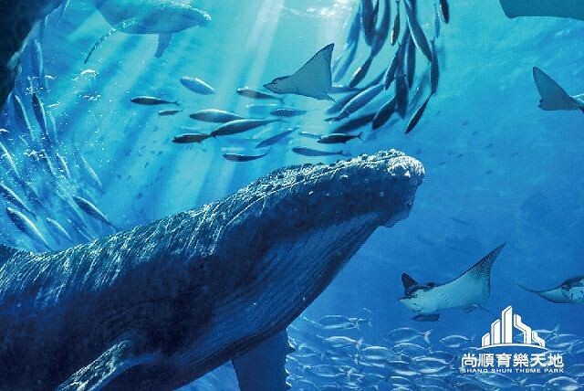 尚順育樂天地| 全台最大室內主題樂園.多樣VR互動體驗超好玩.攀岩走壁超刺激!