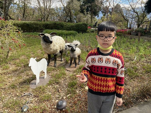 清境小瑞士花園| 清境旅遊必訪!北歐風情景觀.散心的好去處!