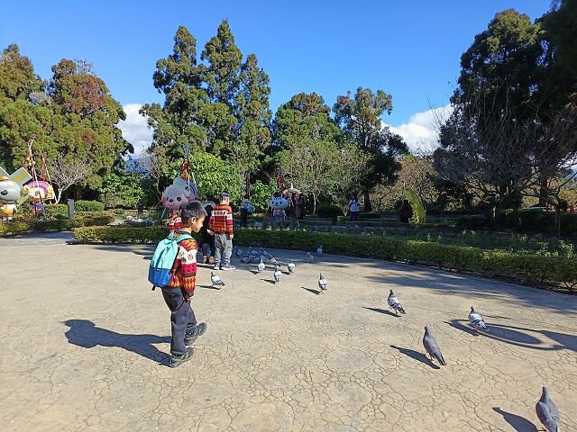 清境小瑞士花園| 清境旅遊必訪!北歐風情景觀.散心的好去處!