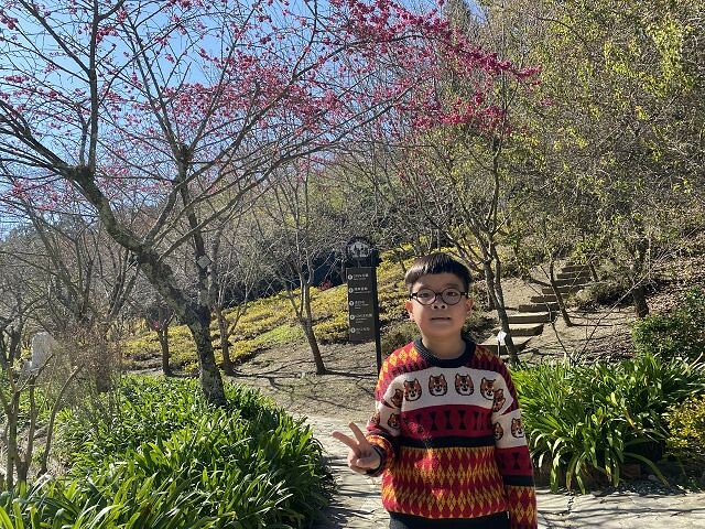 清境小瑞士花園| 清境旅遊必訪!北歐風情景觀.散心的好去處!