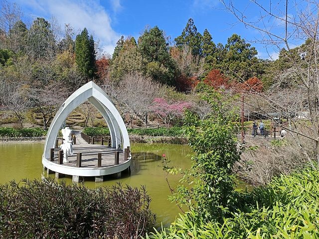 清境小瑞士花園| 清境旅遊必訪!北歐風情景觀.散心的好去處!