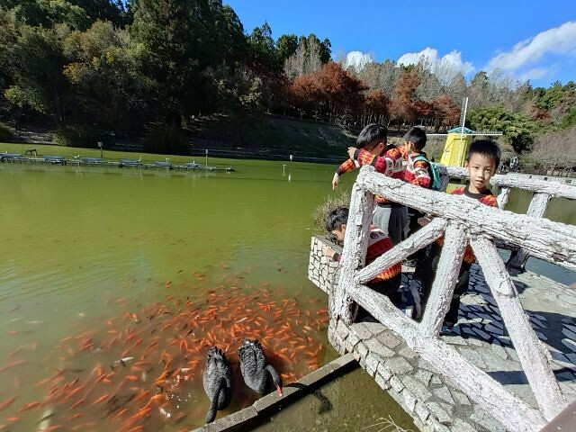 清境小瑞士花園| 清境旅遊必訪!北歐風情景觀.散心的好去處!