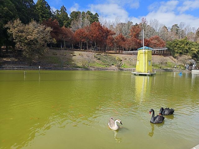 清境小瑞士花園| 清境旅遊必訪!北歐風情景觀.散心的好去處!