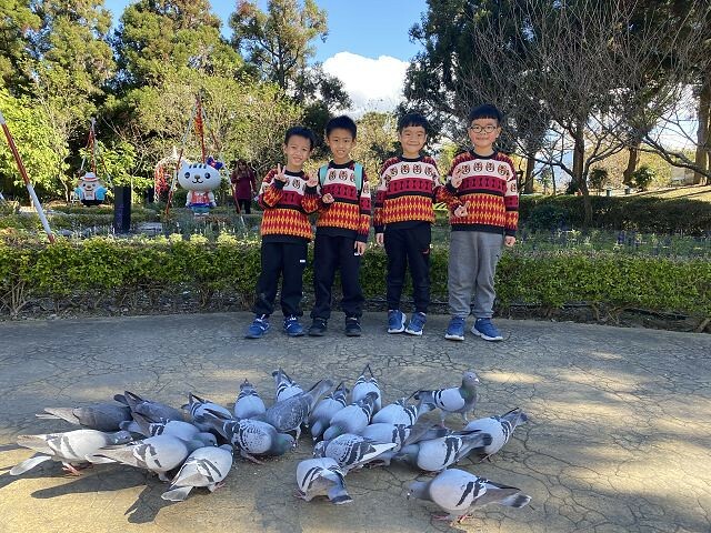 清境小瑞士花園| 清境旅遊必訪!北歐風情景觀.散心的好去處!