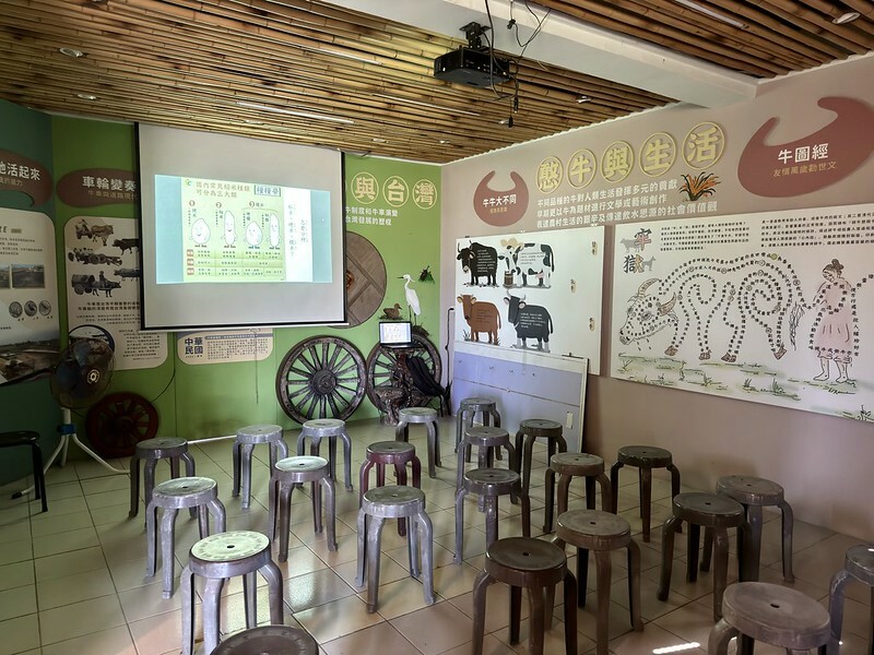 宜蘭壯圍 | 牛頭司體驗農場與牛零距離接觸；幫牛洗澡、餵食、刷毛、牽牛散步、體驗牛糞爆米花...等。（以牛