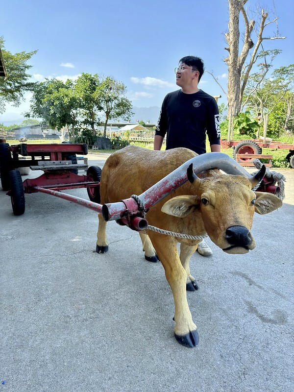 宜蘭壯圍 | 牛頭司體驗農場與牛零距離接觸；幫牛洗澡、餵食、刷毛、牽牛散步、體驗牛糞爆米花...等。（以牛