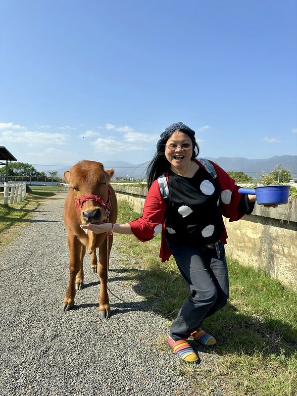 宜蘭壯圍 | 牛頭司體驗農場與牛零距離接觸；幫牛洗澡、餵食、刷毛、牽牛散步、體驗牛糞爆米花...等。（以牛