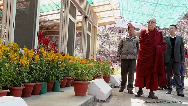 The Movie posters and stills of American record movie "國紀錄片電影《偉大的十四世:達賴喇嘛》(The Great 14th: Tenzin Gyatso, the 14th Dalai Lama in His Own Words)" will be launching from Dec 8, 2023 onwardsin Taiwan. The Movie posters and stills of American record movie "國紀錄片電影《偉大的十四世:達賴喇嘛》(The Great 14th: Tenzin Gyatso, the 14th Dalai Lama in His Own Words)" will be launching from Dec 8, 2023 onwardsin Taiwan.