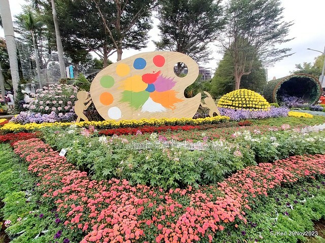 「2023士林官邸菊展 」(Shlin Residence Chryanthemum Festival ) series 7-1 , the exhibition is from Nov 24 to Dec 10, 2023 at Taipei, Taiwan.