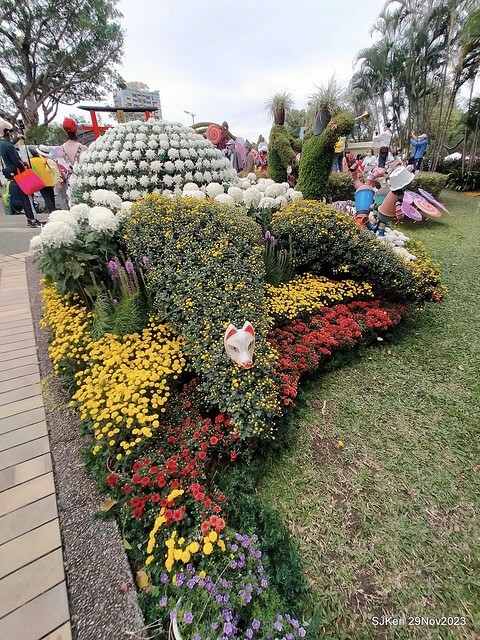 「2023士林官邸菊展 」(Shlin Residence Chryanthemum Festival ) series 7-2 , the exhibition is from Nov 24 to Dec 10, 2023 at Taipei, Taiwan.