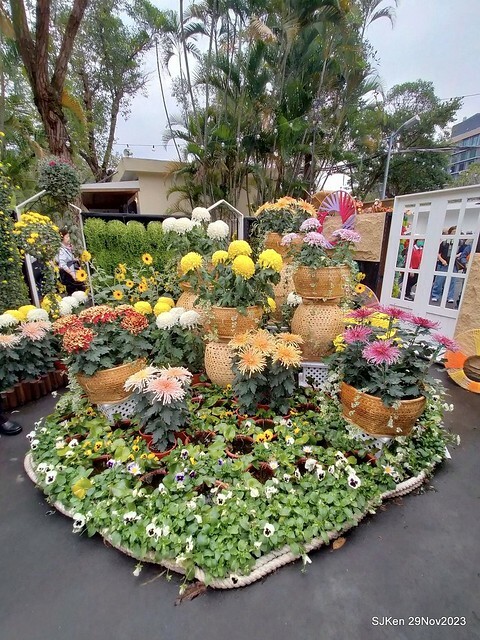 「2023士林官邸菊展 」(Shlin Residence Chryanthemum Festival ) series 7-2 , the exhibition is from Nov 24 to Dec 10, 2023 at Taipei, Taiwan.