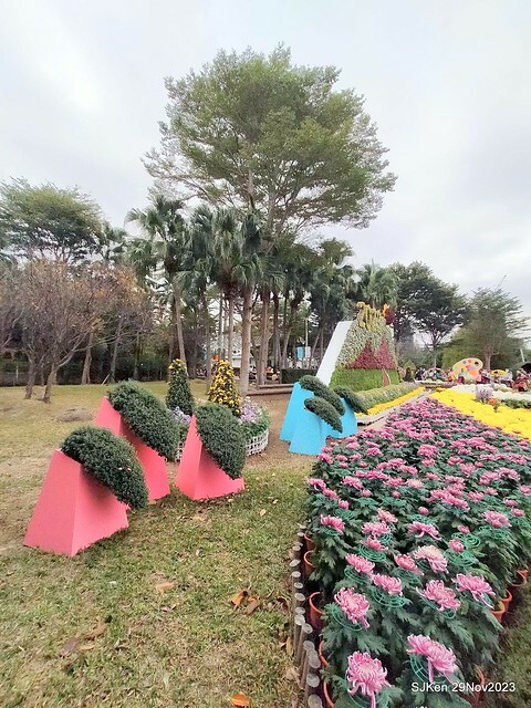 「2023士林官邸菊展 」(Shlin Residence Chryanthemum Festival ) series 7-1 , the exhibition is from Nov 24 to Dec 10, 2023 at Taipei, Taiwan.