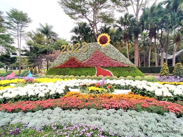 「2023士林官邸菊展 」(Shlin Residence Chryanthemum Festival ) series 7-1 , the exhibition is from Nov 24 to Dec 10, 2023 at Taipei, Taiwan.