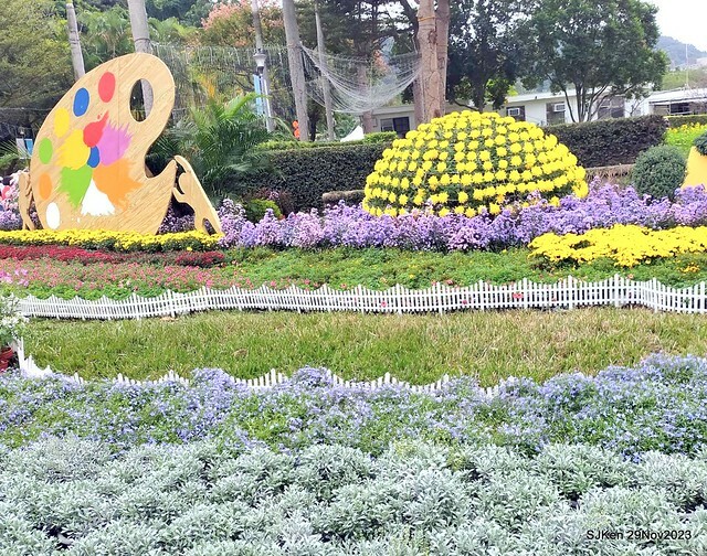 「2023士林官邸菊展 」(Shlin Residence Chryanthemum Festival ) series 7-1 , the exhibition is from Nov 24 to Dec 10, 2023 at Taipei, Taiwan.