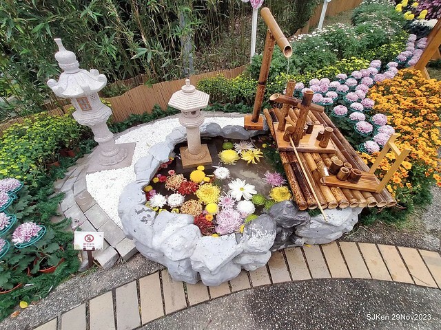 「2023士林官邸菊展 」(Shlin Residence Chryanthemum Festival ) series 7-2 , the exhibition is from Nov 24 to Dec 10, 2023 at Taipei, Taiwan.