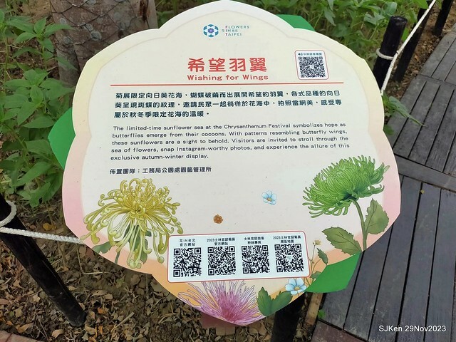 「2023士林官邸菊展 」(Shlin Residence Chryanthemum Festival ) series 7-1 , the exhibition is from Nov 24 to Dec 10, 2023 at Taipei, Taiwan.