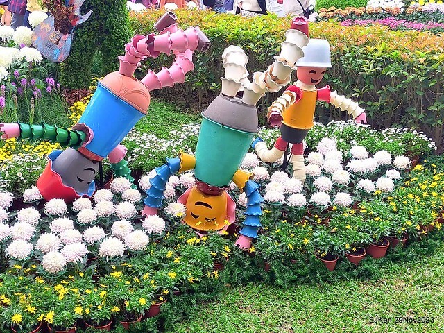 「2023士林官邸菊展 」(Shlin Residence Chryanthemum Festival ) series 7-2 , the exhibition is from Nov 24 to Dec 10, 2023 at Taipei, Taiwan.