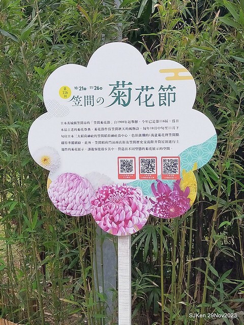 「2023士林官邸菊展 」(Shlin Residence Chryanthemum Festival ) series 7-2 , the exhibition is from Nov 24 to Dec 10, 2023 at Taipei, Taiwan.