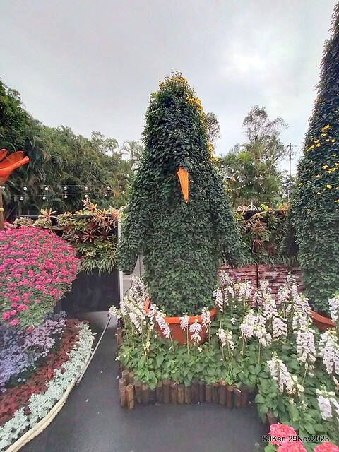 「2023士林官邸菊展 」(Shlin Residence Chryanthemum Festival ) series 7-2 , the exhibition is from Nov 24 to Dec 10, 2023 at Taipei, Taiwan.