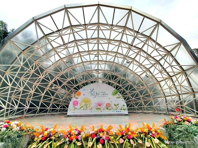 「2023士林官邸菊展 」(Shlin Residence Chryanthemum Festival ) series 7-2 , the exhibition is from Nov 24 to Dec 10, 2023 at Taipei, Taiwan.