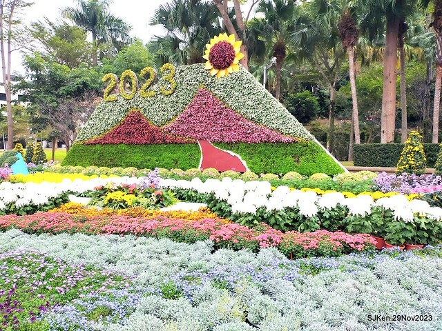 「2023士林官邸菊展 」(Shlin Residence Chryanthemum Festival ) series 7-1 , the exhibition is from Nov 24 to Dec 10, 2023 at Taipei, Taiwan.