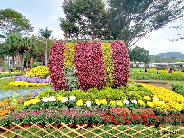 「2023士林官邸菊展 」(Shlin Residence Chryanthemum Festival ) series 7-1 , the exhibition is from Nov 24 to Dec 10, 2023 at Taipei, Taiwan.