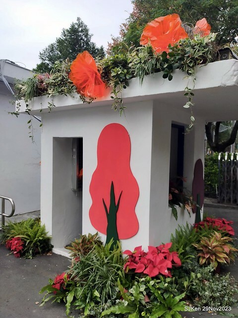 「2023士林官邸菊展 」(Shlin Residence Chryanthemum Festival ) series 7-2 , the exhibition is from Nov 24 to Dec 10, 2023 at Taipei, Taiwan.