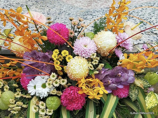 「2023士林官邸菊展 」(Shlin Residence Chryanthemum Festival ) series 7-2 , the exhibition is from Nov 24 to Dec 10, 2023 at Taipei, Taiwan.