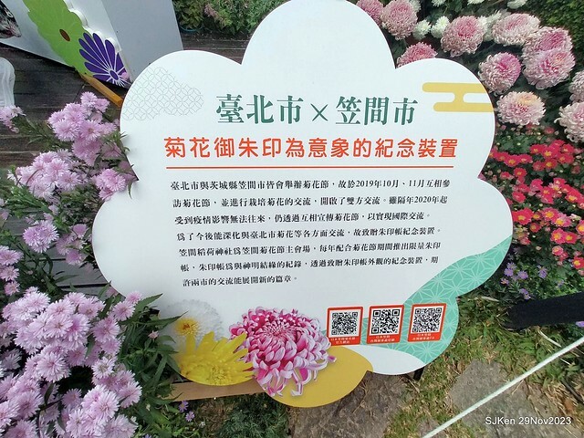 「2023士林官邸菊展 」(Shlin Residence Chryanthemum Festival ) series 7-2 , the exhibition is from Nov 24 to Dec 10, 2023 at Taipei, Taiwan.