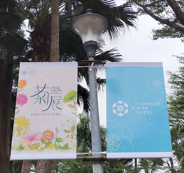 「2023士林官邸菊展 」(Shlin Residence Chryanthemum Festival ) series 7-1 , the exhibition is from Nov 24 to Dec 10, 2023 at Taipei, Taiwan.