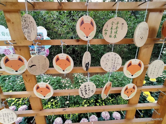 「2023士林官邸菊展 」(Shlin Residence Chryanthemum Festival ) series 7-2 , the exhibition is from Nov 24 to Dec 10, 2023 at Taipei, Taiwan.