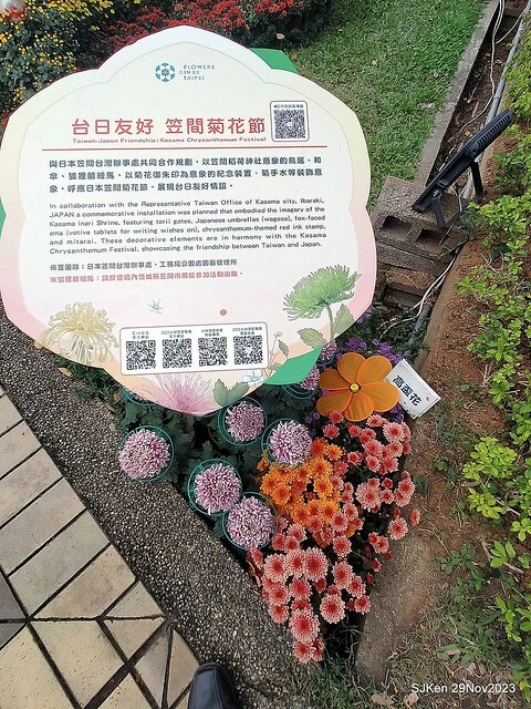 「2023士林官邸菊展 」(Shlin Residence Chryanthemum Festival ) series 7-2 , the exhibition is from Nov 24 to Dec 10, 2023 at Taipei, Taiwan.