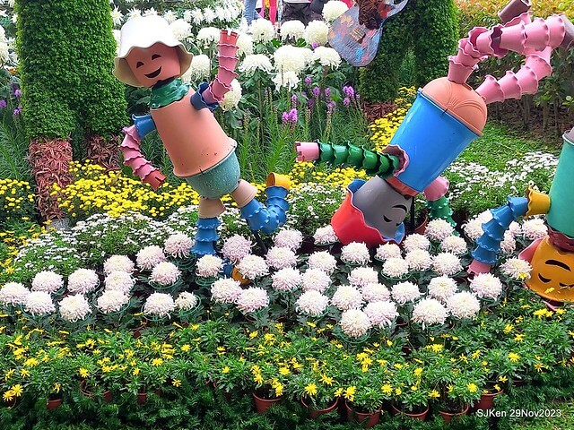 「2023士林官邸菊展 」(Shlin Residence Chryanthemum Festival ) series 7-2 , the exhibition is from Nov 24 to Dec 10, 2023 at Taipei, Taiwan.