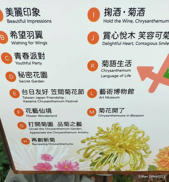 「2023士林官邸菊展 」(Shlin Residence Chryanthemum Festival ) series 7-2 , the exhibition is from Nov 24 to Dec 10, 2023 at Taipei, Taiwan.