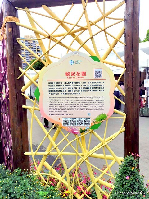 「2023士林官邸菊展 」(Shlin Residence Chryanthemum Festival ) series 7-2 , the exhibition is from Nov 24 to Dec 10, 2023 at Taipei, Taiwan.