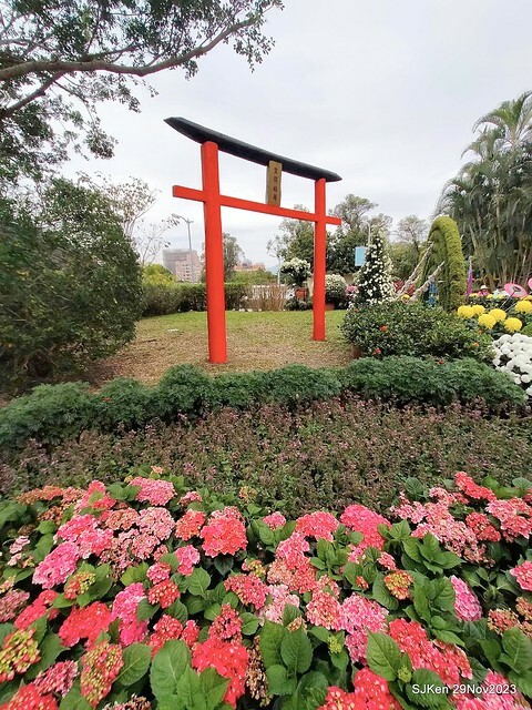 「2023士林官邸菊展 」(Shlin Residence Chryanthemum Festival ) series 7-2 , the exhibition is from Nov 24 to Dec 10, 2023 at Taipei, Taiwan.